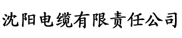 日韩影院电缆厂logo